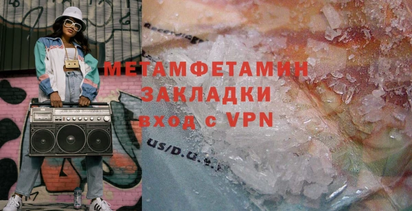 прущие грибы Новодвинск