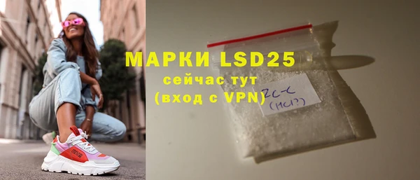 прущие грибы Новодвинск