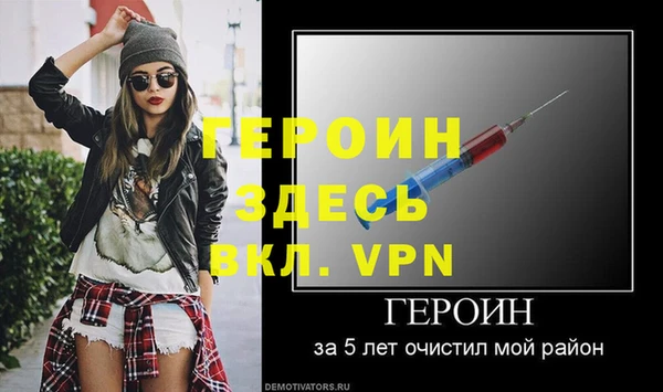 прущие грибы Новодвинск